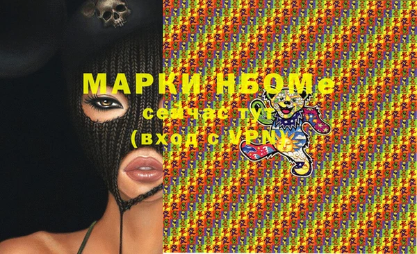 соль ск Бородино