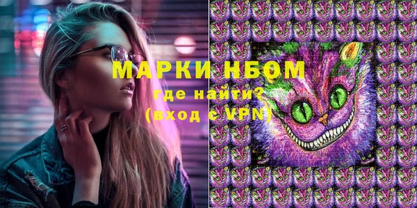 соль ск Бородино