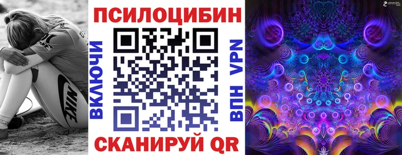 Галлюциногенные грибы Psilocybine cubensis Первомайск